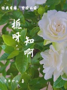 栀栀仔小说